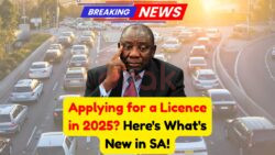 Driver’s Licence Rules Overhauled for 2025 – SA’s New Process Revealed