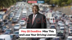 New Licence Rules in Effect: May 25 Brings Strict Penalties for South African Drivers